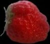 أيقونة Strawberries Free