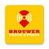 Brouwer icon