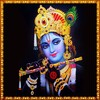 Sri Krishna Bhajans icon