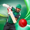 Icono de Cricket Game 3d