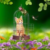 Cat and Hummingbirds Wallpaper icon