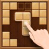 Wood Block Puzzle 2020 icon