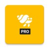 Spiagge.it PRO icon