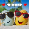 Summer Wallpapers icon