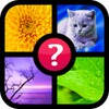 Guess the word ~ 4 pics 1 word icon