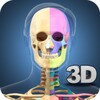 Skeleton Anatomy Pro. icon