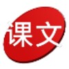 Chinese Text Reader icon