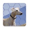 Icono de Hexa! Jigsaw Dogs