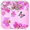 Pink Flowers Live Wallpaper icon