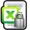 Excel Lock icon