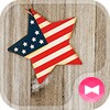 U.S.A. Flag Star Theme icon