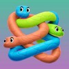 Snake Sort Puzzle icon