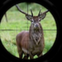 Deer Hunt: Rifle Shot Free android app icon