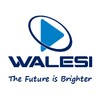 Walesi icon