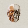 Icono de 3D Anatomy for the Artist