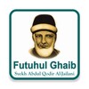 Terjemah Kitab Futuhul Ghaib icon