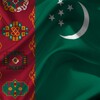 Flag of Turkmenistan icon