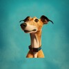 Greyhound Dog Simulator icon