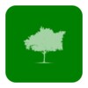 FamTree (My Family Tree) icon