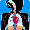 Human Anatomy Learning - Quiz icon