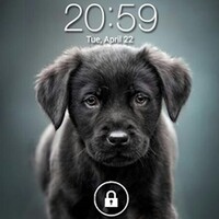 Puppy Dog Lock Screen para Android - Descarga el APK en Uptodown