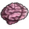 Brain Squeeze icon