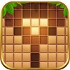 Wood Block Puzzle: 2023 icon