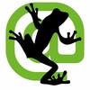 Screaming Frog icon