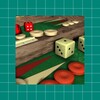 Backgammon V+ icon