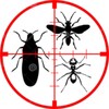 Anti insect sound simulator icon