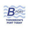 Икона B-Port