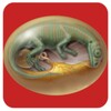 Dinosaurio Egg icon
