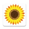 ไอคอน Petals