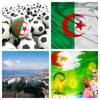 Algeria Flag Wallpaper: Flags icon