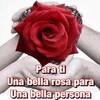 Rosas con Frases Bonitas icon