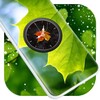 Leaf Clock Live Wallpaper icon