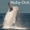 Moby-Dick icon