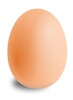 Egg Break icon