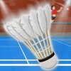 Badminton Tournament 아이콘