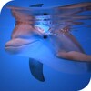 Dolphins HD Live Wallpaper icon