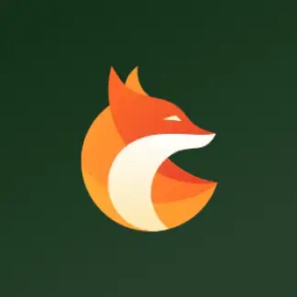 Fox Guard VPN for Android - Download the APK from Uptodown