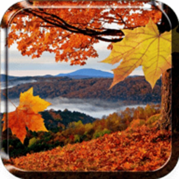 Falling Leaves Live Wallpaper for Android - Download the APK from Uptodown