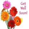 Get Well Soon Wishes: Greeting, Quotes, GIF icon