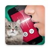 Cat translator joke icon