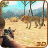 Lion Hunting Challenge icon