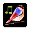 Икона Birds Sounds Relax and Sleep