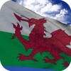 Wales Flag icon