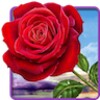 Rose icon