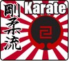 Karate Gojû-Ryû - Hajime No Deshi (english) icon