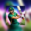 Icono de Pakistan T20 Cricket League